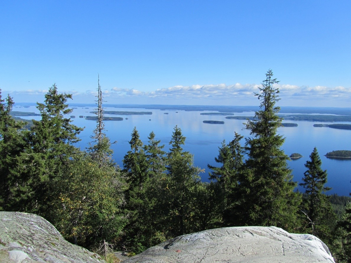 Koli - Tourism Marketing and Management