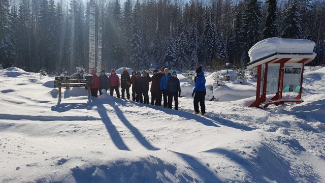 Students in a nature trail