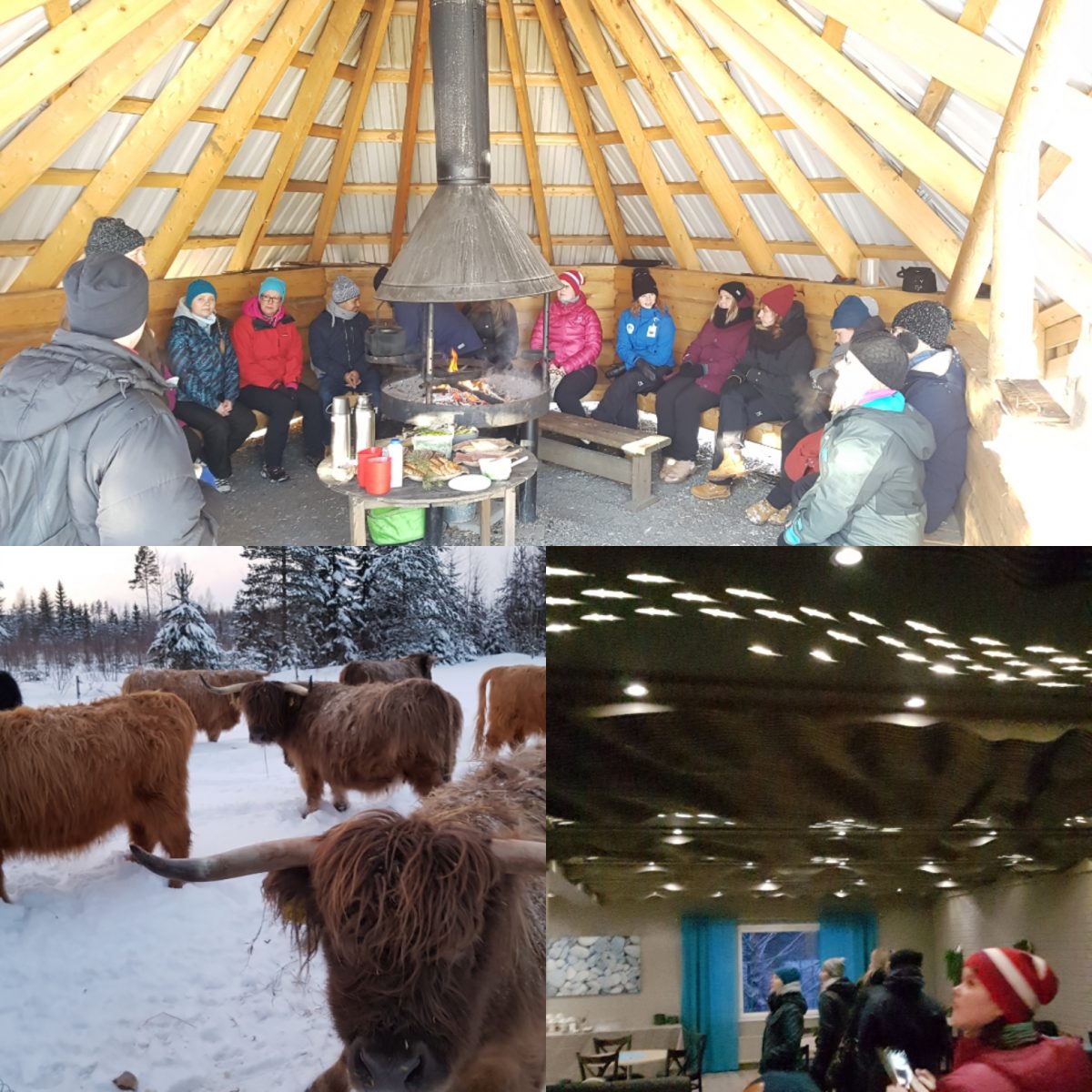TMM developing tourism business at Etelä-Konnevesi region