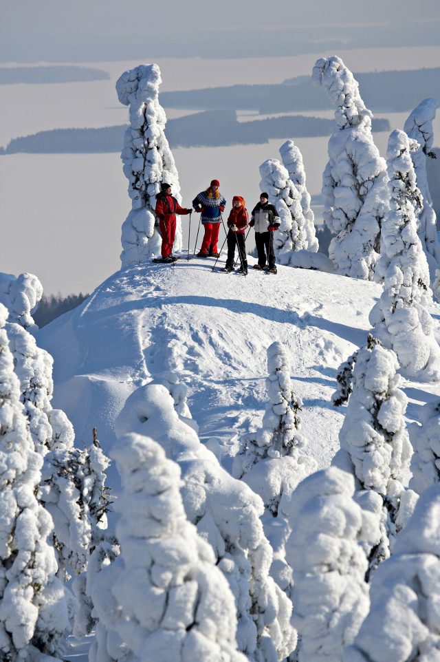 Snowshoeing on the Koli hill