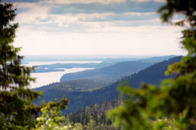 visitkarelia-koli-pohjoiskarjala-northkarelia-lakeview-harritarvainen