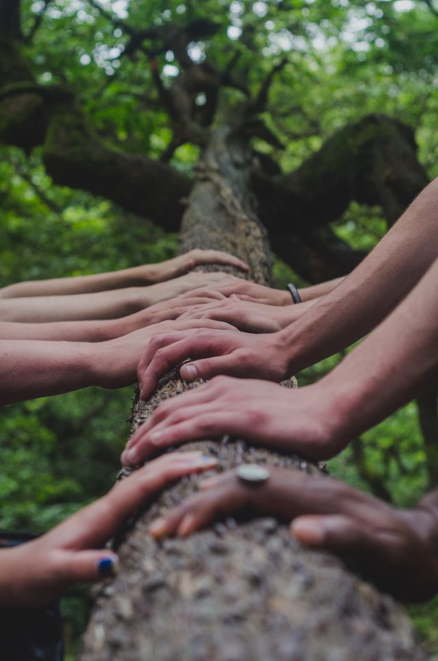 People holding their hands on a tree